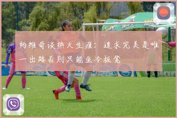 约维奇谈热火生涯：追求完美是唯一出路否则只能坐冷板凳